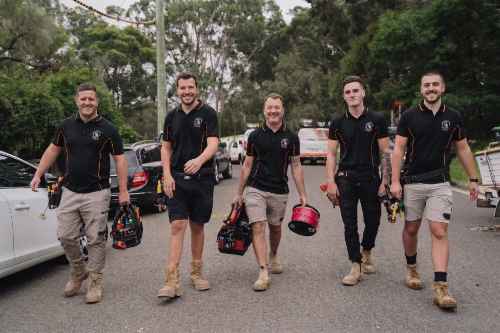 Professional electrical services in Lilli Pilli